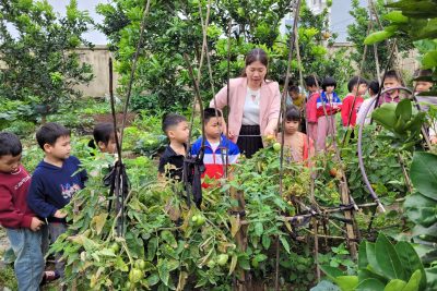 Hoạt Động ngoài trời lớp mẫu giáo A5